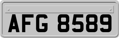 AFG8589