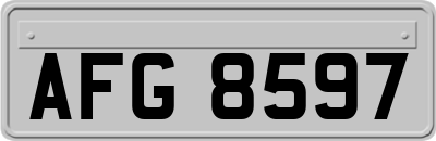 AFG8597