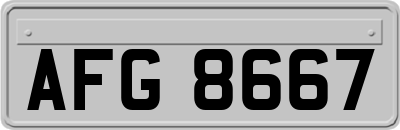 AFG8667