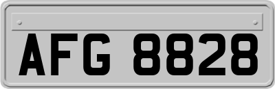 AFG8828