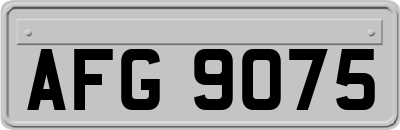 AFG9075