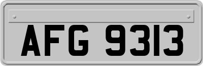 AFG9313