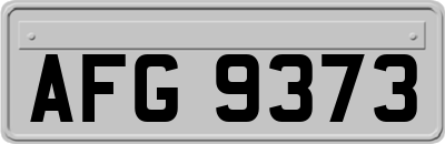 AFG9373
