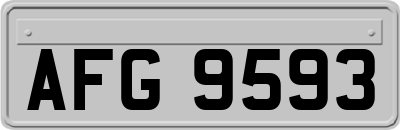 AFG9593