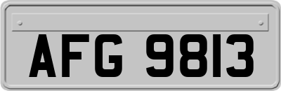 AFG9813