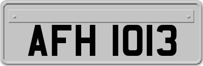 AFH1013