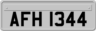 AFH1344