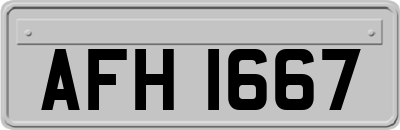 AFH1667