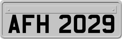 AFH2029