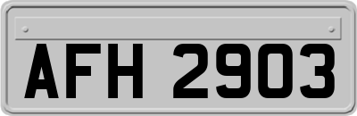 AFH2903
