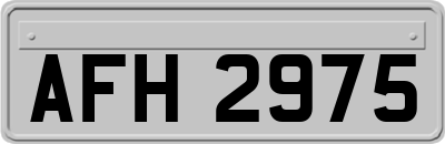 AFH2975
