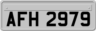AFH2979