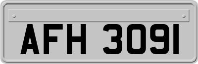 AFH3091