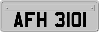 AFH3101