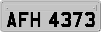 AFH4373
