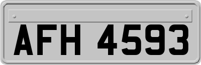 AFH4593