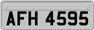 AFH4595