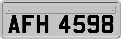 AFH4598