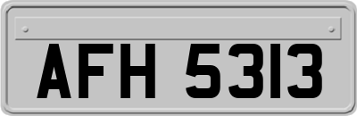 AFH5313