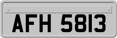 AFH5813