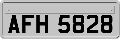 AFH5828