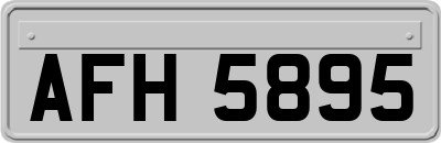AFH5895