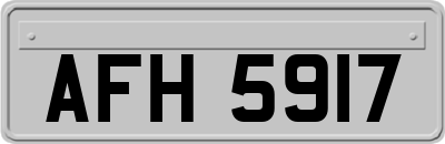 AFH5917