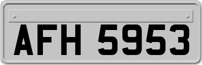 AFH5953