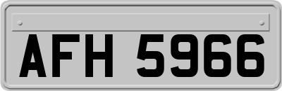 AFH5966