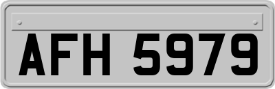 AFH5979
