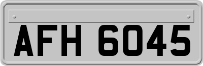 AFH6045