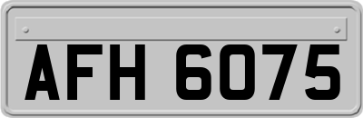 AFH6075