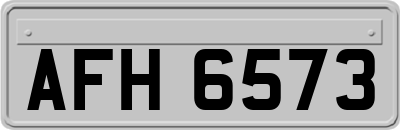 AFH6573