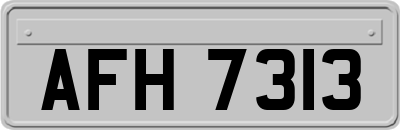 AFH7313