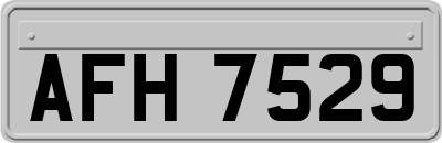 AFH7529
