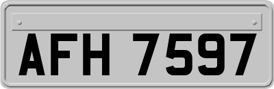 AFH7597