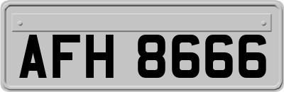 AFH8666