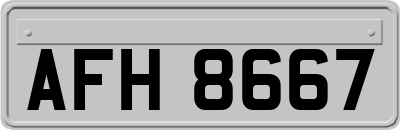 AFH8667