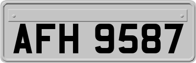 AFH9587