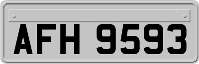 AFH9593