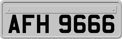 AFH9666