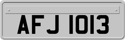 AFJ1013