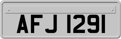 AFJ1291