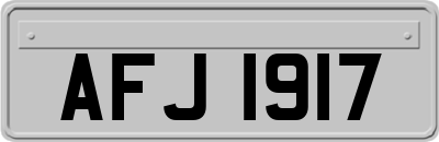 AFJ1917