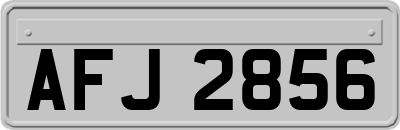 AFJ2856