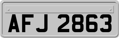 AFJ2863