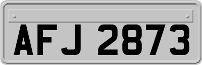 AFJ2873