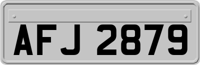 AFJ2879