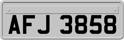 AFJ3858