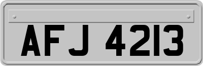 AFJ4213